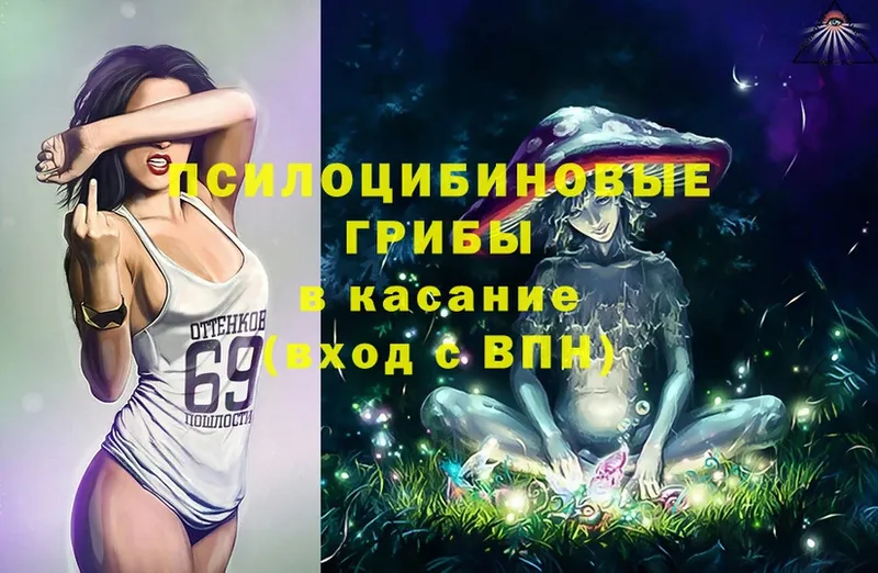 Псилоцибиновые грибы Magic Shrooms  OMG сайт  Струнино  как найти закладки 